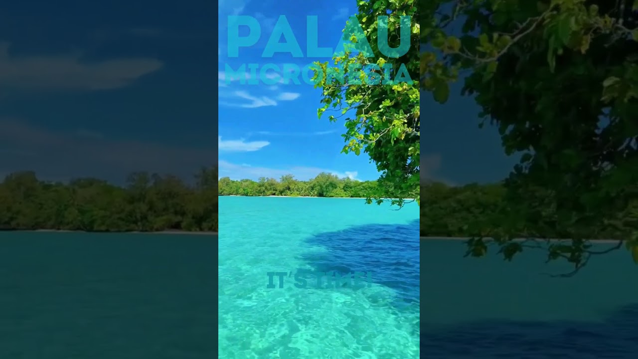 Discover Palau: Your Ultimate Travel Guide to Paradise! #travel #beach #adventure