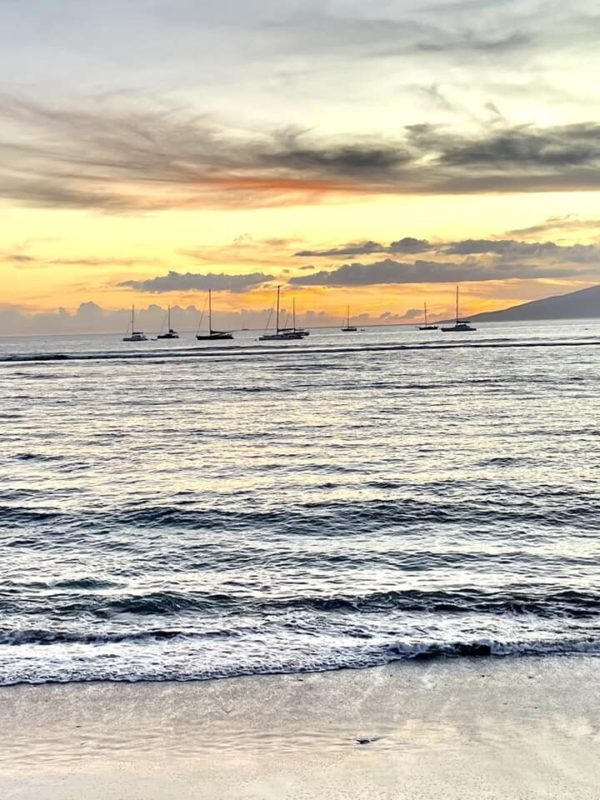 Aloha Friday Photo: Lahaina from 2022