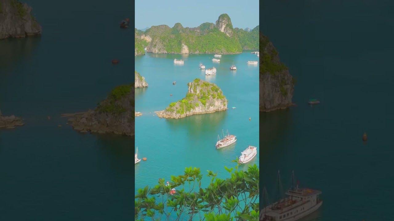 Halong Bay Tour | Halong Bay Tour Guide | #shortsfeed #shorts  #travel