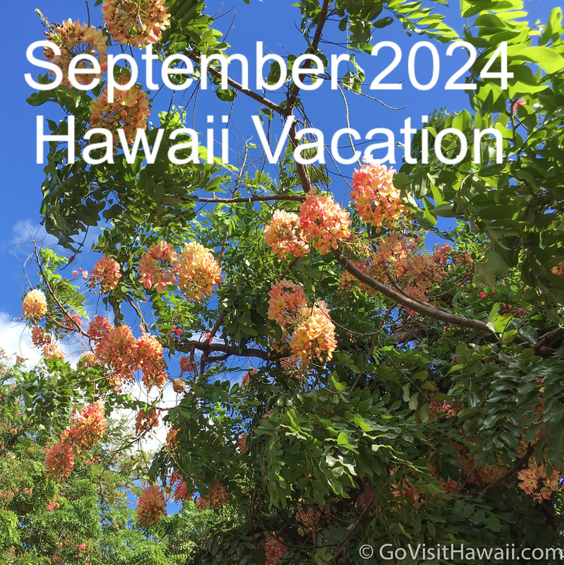 September 2024 Vacation in Hawaii: Weather, Events and Blooming Flowers