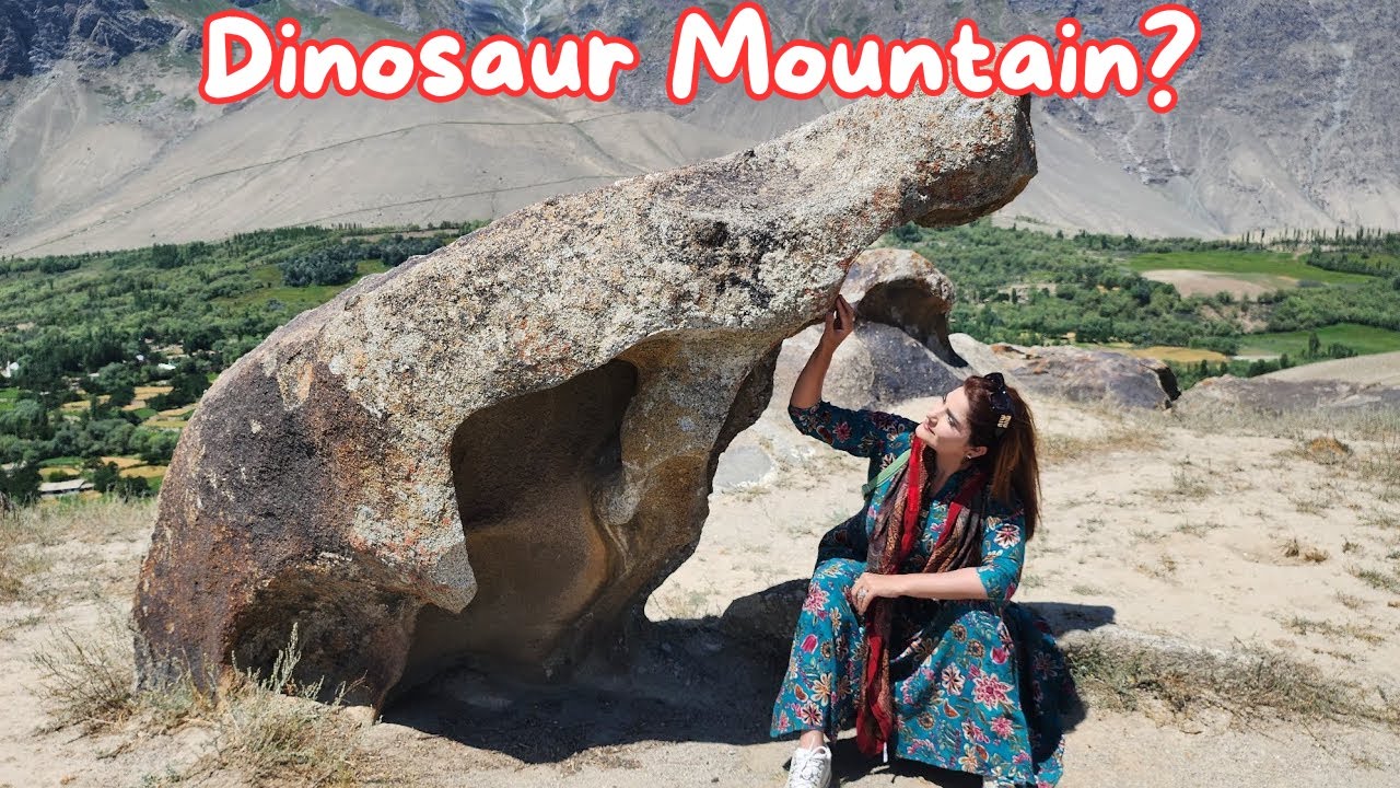 Dinosaur Mountain | Trip To Skardu | Travel Guide In 2024 | Skardu Pakistan Trip #aliya_ali88