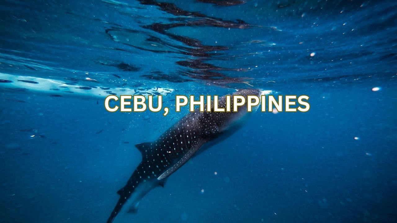 Top Things To Do In Cebu: Ultimate Travel Guide To Cebu, Philippines #travel #cebu #philippines