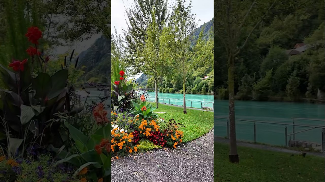 Don't Miss Interlaken: Switzerland's Best #interlaken #switzerland #vlog #travel #holiday #nature