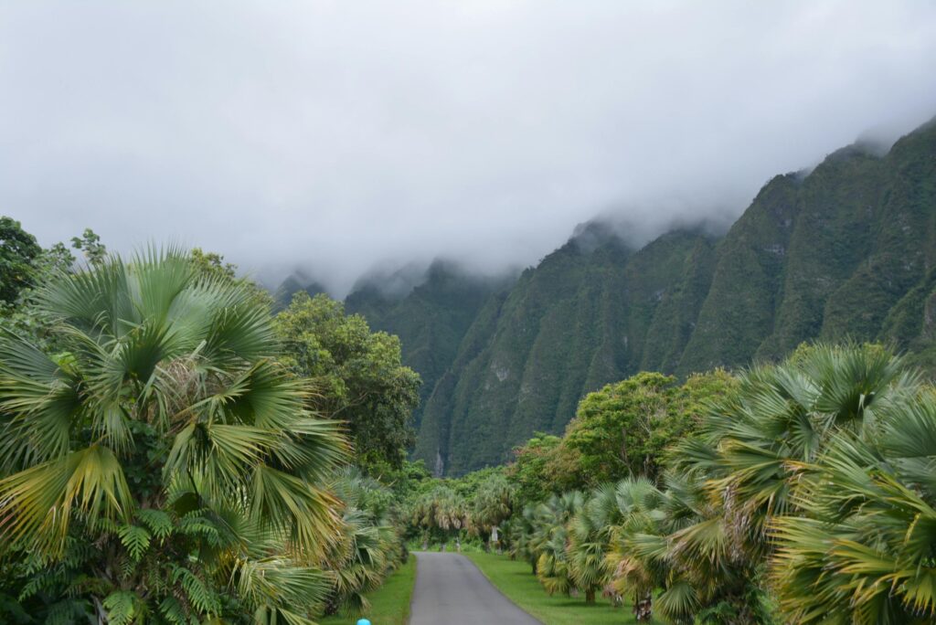 best botanical gardens oahu