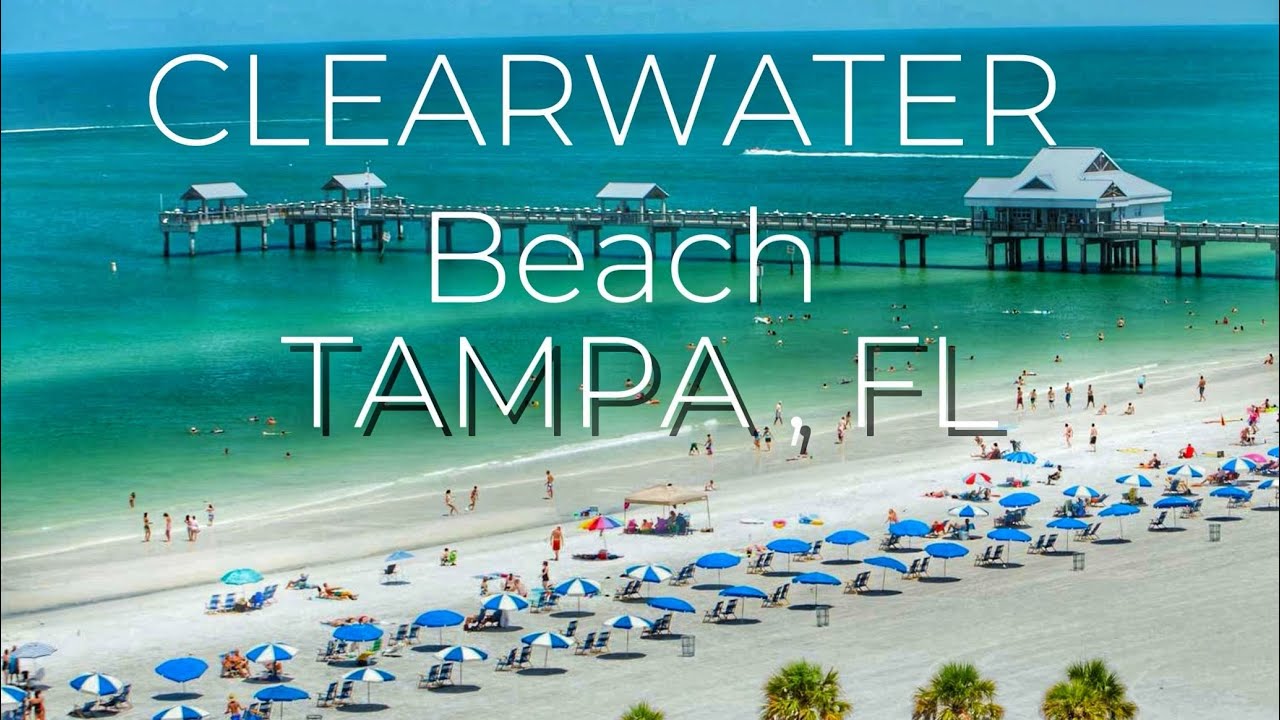 Clearwater Beach🐬TAMPA FL || Travel Guide