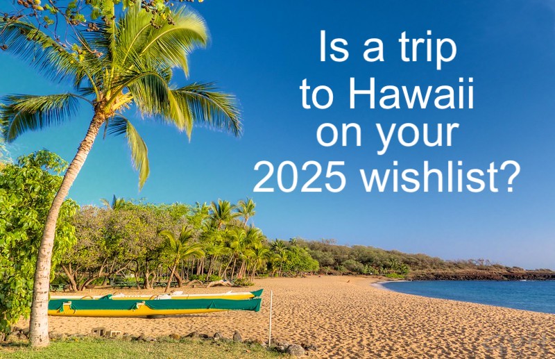 Is Hawaii in your travel plans for 2025?