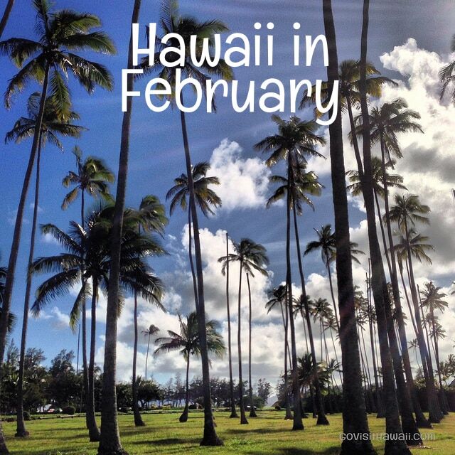 What you need to know to plan a February 2025 vacation in the Hawaiian Islands - weather, what to pack and special events