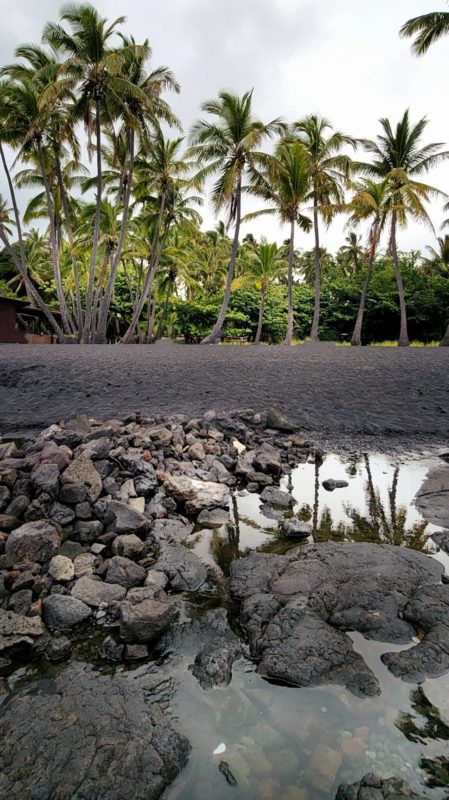 Aloha Friday Photo: Hawaii Island's Punalu'u Black Sand Beach