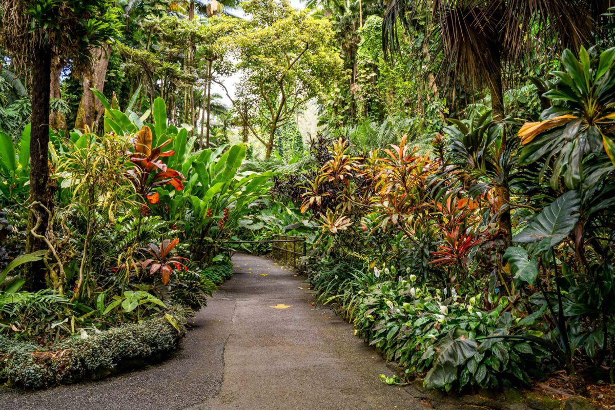 Hawaii.com