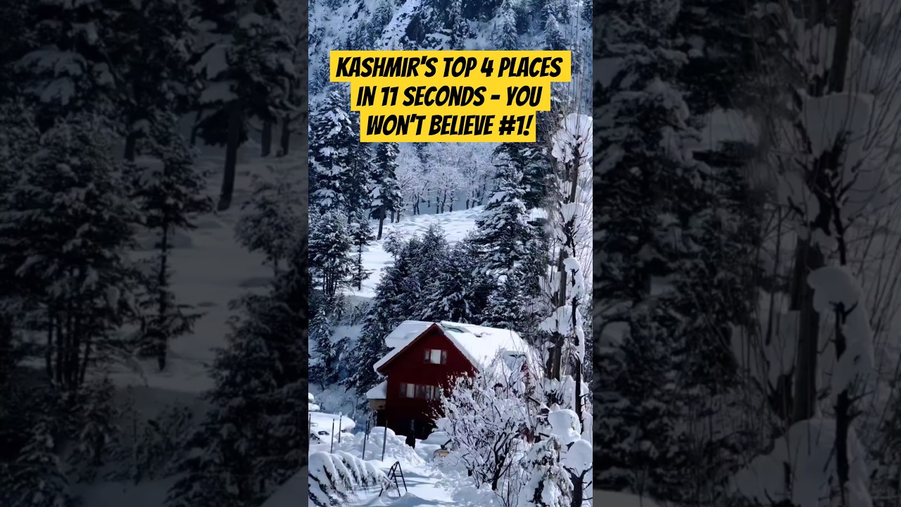 Kashmir Travel Guide: Sonamarg, Gulmarg & Pahalgam in 11 Seconds! #travel #nature #shorts
