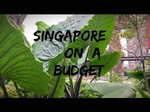 Ultimate Travel Guide to Singapore
